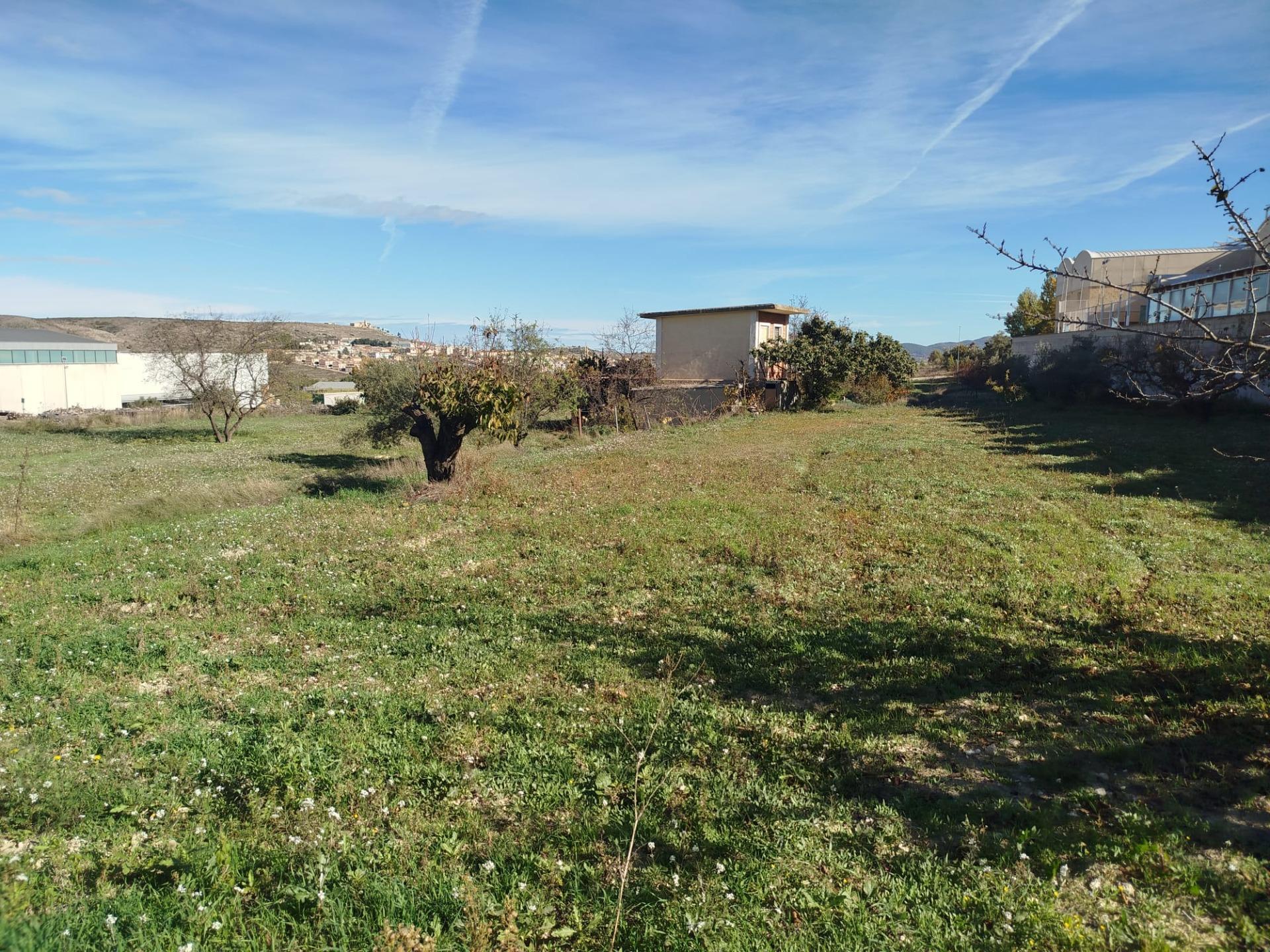 Terrain dans Bocairent, Valencia à vendre Photo principale– Image 1 sur 4