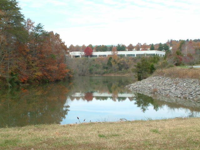 View Photo