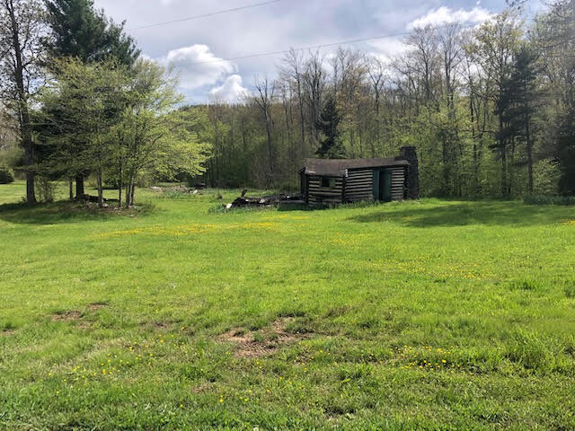 Route 250/92 Durbin, WV, Huttonsville, WV à vendre - Photo de l’immeuble – Image 2 sur 5