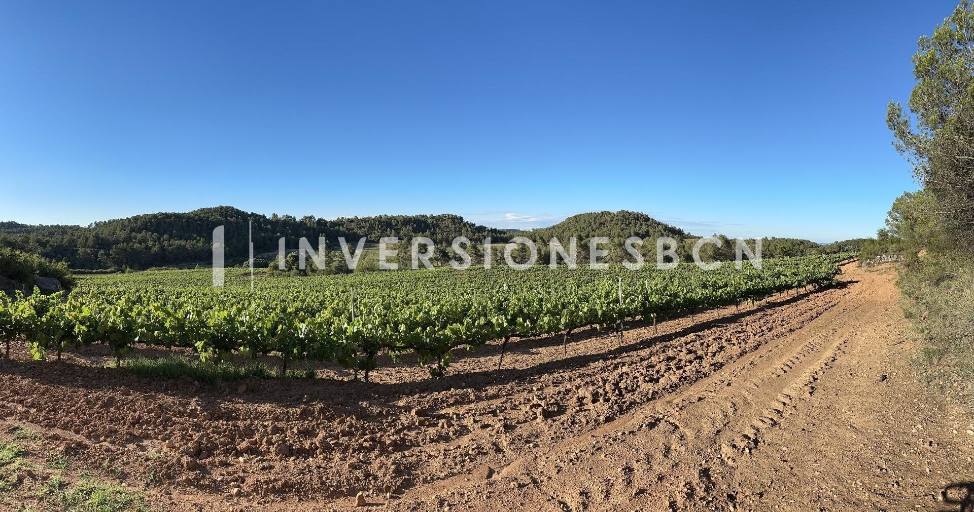 Terrain dans Vimbodí i Poblet, Tarragona à vendre Autre– Image 1 sur 9