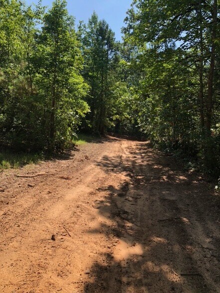 Hwy 157, Plain Dealing, LA à vendre - Photo de l’immeuble – Image 2 sur 9