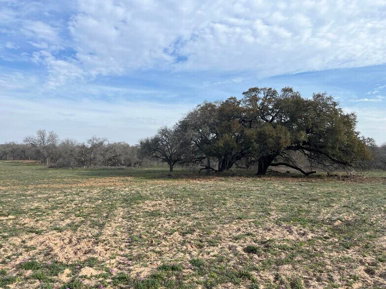 10382 W FM 476, Poteet, TX à vendre - Photo principale – Image 1 sur 26