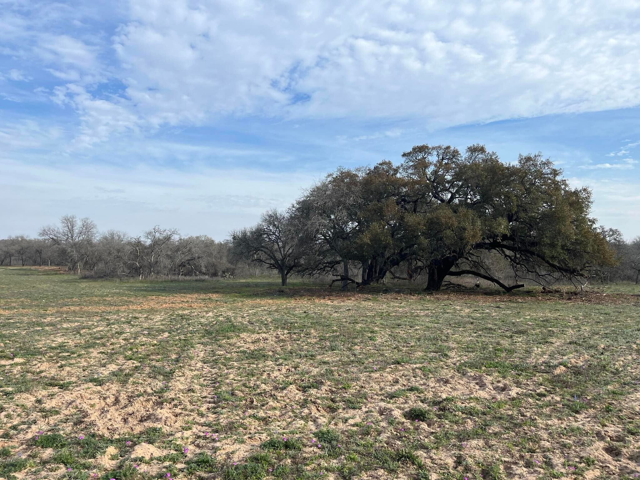 10382 W FM 476, Poteet, TX à vendre Photo principale– Image 1 sur 27