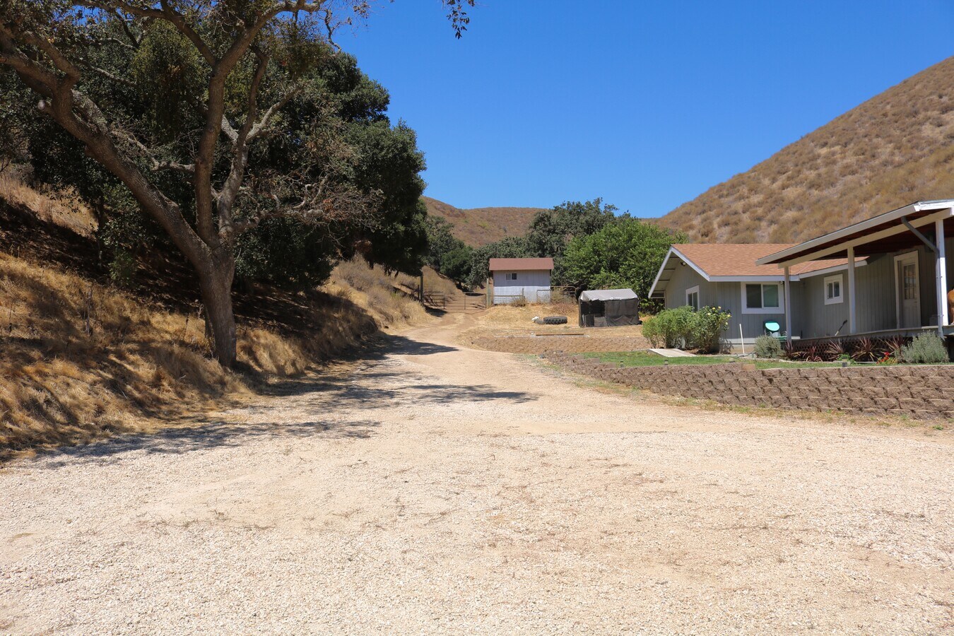 View Photo