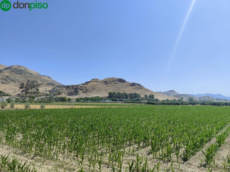 Carretera de Pinos Puente, Atarfe, Granada à vendre - Photo principale – Image 1 sur 9
