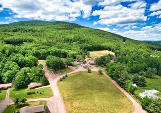 Plus de détails pour 218 NY-296, Windham, NY - Hôtellerie à vendre