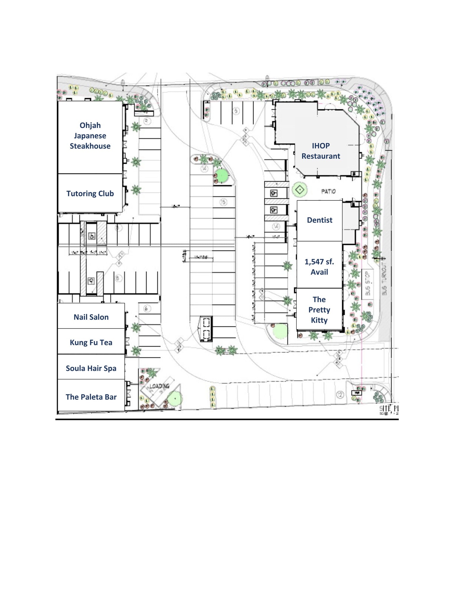 7315 S Rainbow Blvd, Las Vegas, NV à louer Plan de site– Image 1 sur 1
