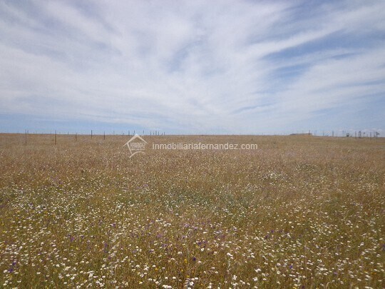 Terrain dans Sierra de Fuentes à vendre Aérien– Image 1 sur 3