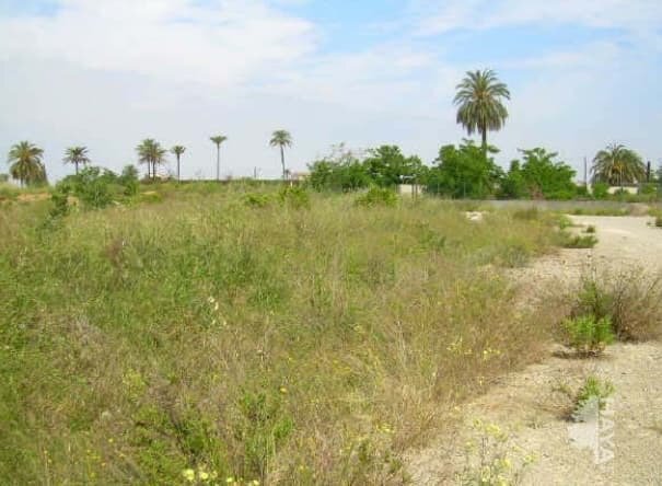 Terrain dans Carcaixent, Valencia à vendre - Photo principale – Image 1 sur 4