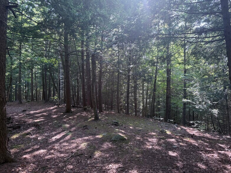 375 Ormsbee Rd, Porter Corners, NY à vendre - Autre – Image 2 sur 4