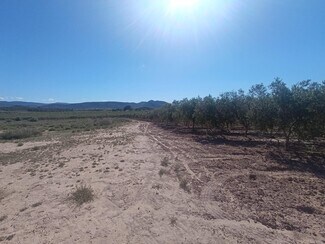Plus de détails pour Partida los Cabezos, 16, Villena - Terrain à vendre