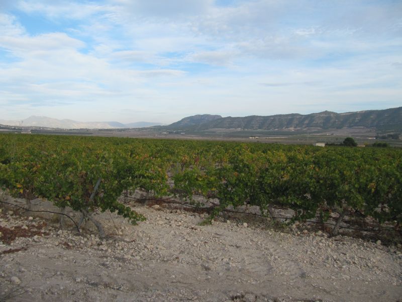 Terrain dans Salinas, Alicante à vendre Aérien– Image 1 sur 2