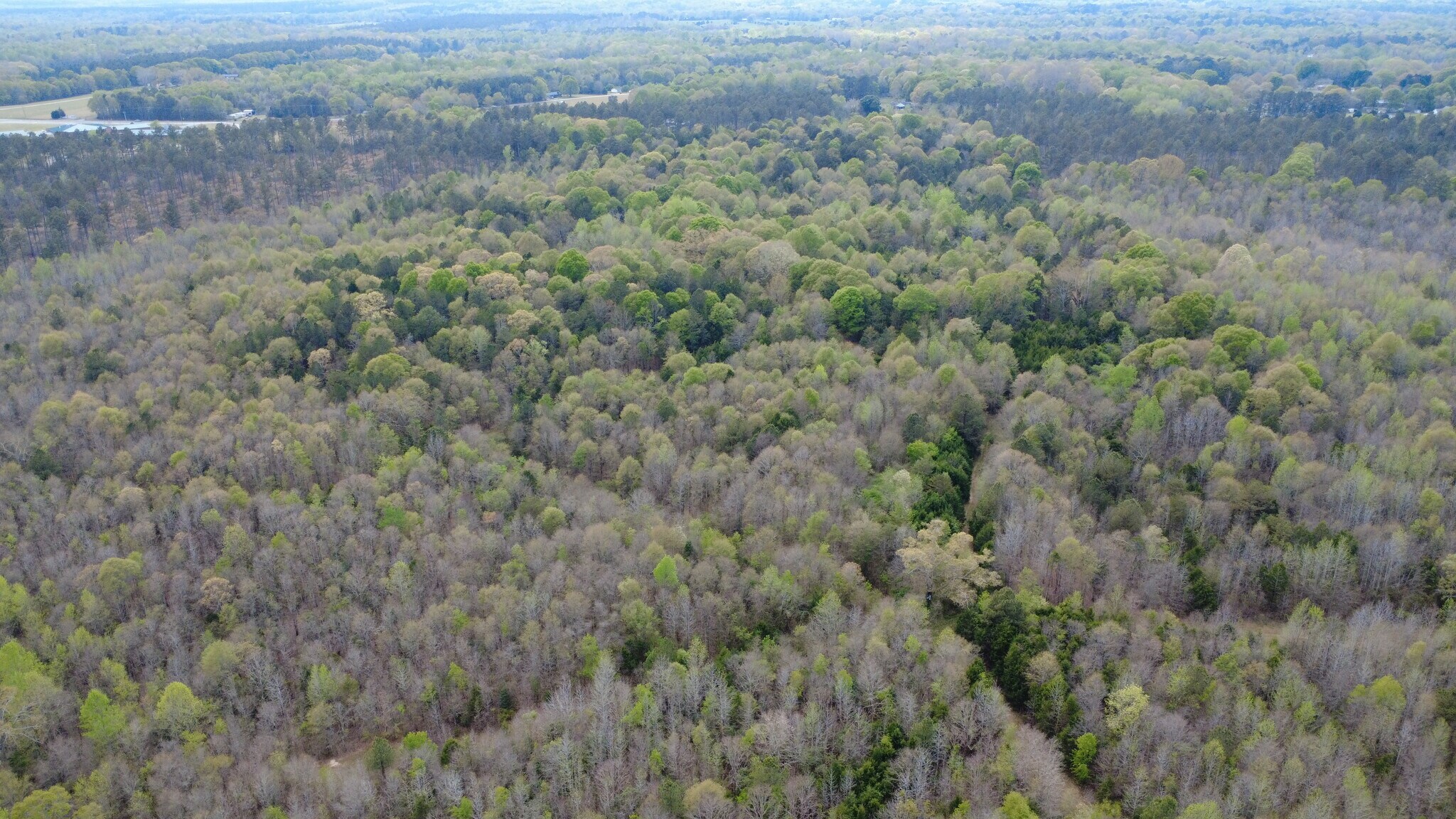 1515 Flat Rock Rd, Starr, SC à vendre Photo principale– Image 1 sur 8