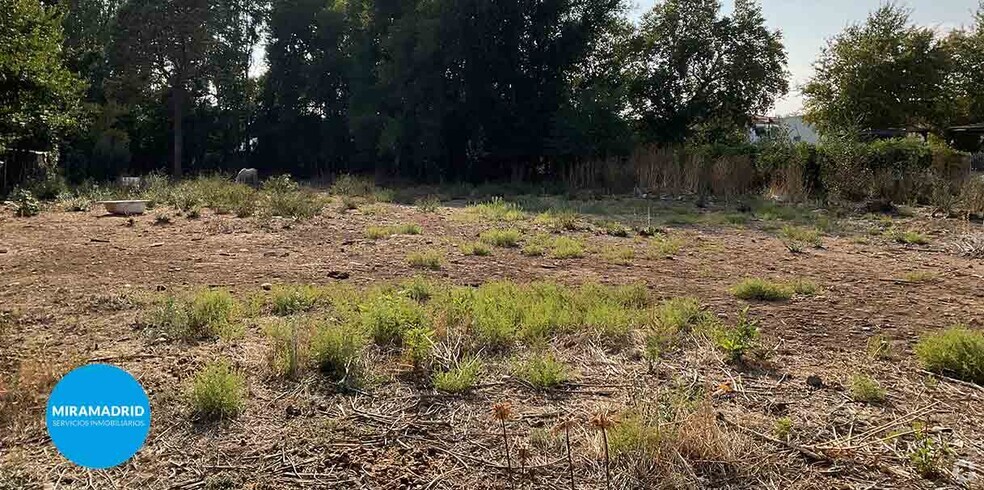 Terrain dans Ajalvir, Madrid à vendre - Photo principale – Image 1 sur 3