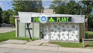 Plus de détails pour 254 Pefferlaw Rd, Georgina, ON - Local commercial à vendre