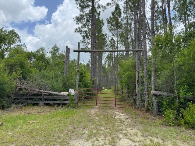 TBD McCray Road, Mayo, FL à vendre - Photo de l’immeuble – Image 2 sur 9