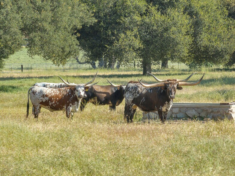 770 Limekiln Rd, Hollister, CA à vendre - Autre – Image 3 sur 29