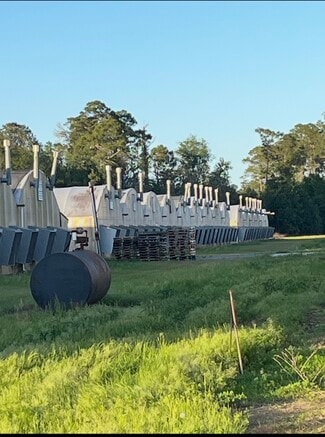 Plus de détails pour 1727 Old Highway 250, Claxton, GA - Spécialisé à vendre