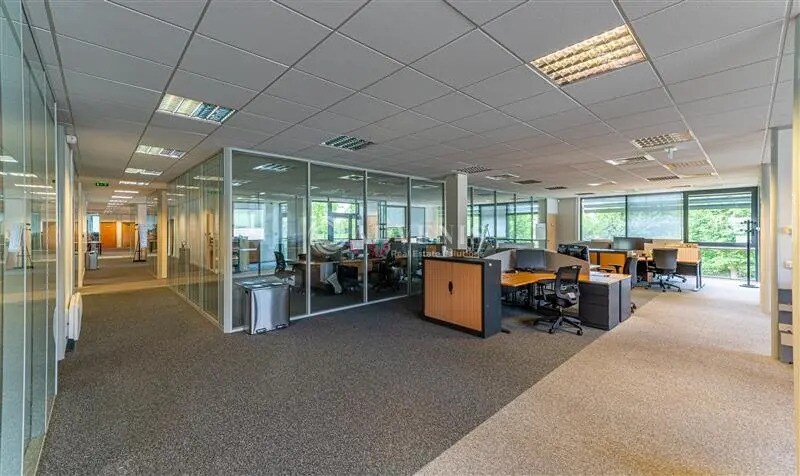 Bureau dans Serris à louer - Photo de l’immeuble – Image 3 sur 5
