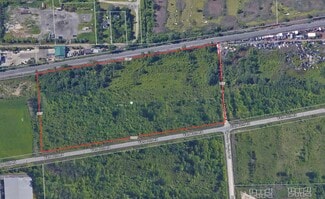 Plus de détails pour 43000 Van Born Rd, Belleville, MI - Terrain à vendre