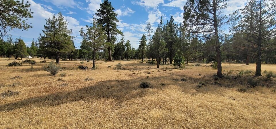 Highway 299, Burney, CA à vendre Autre– Image 1 sur 6