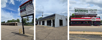 Plus de détails pour Lansing Portfolio – Local commercial à vendre, Lansing, MI