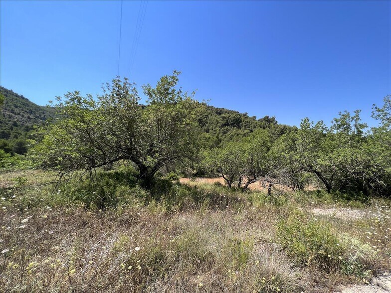 Proc. Simplificado, Borriol, Castellón à vendre - Photo principale – Image 1 sur 12