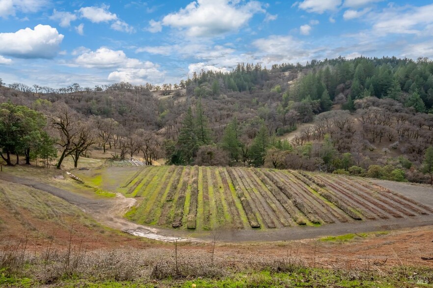 8450 Orr Springs Rd, Ukiah, CA à vendre - Photo de l’immeuble – Image 3 sur 14