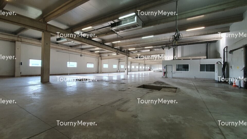 1100 Avenue D'Italie, Montauban à louer - Photo intérieure – Image 2 sur 12
