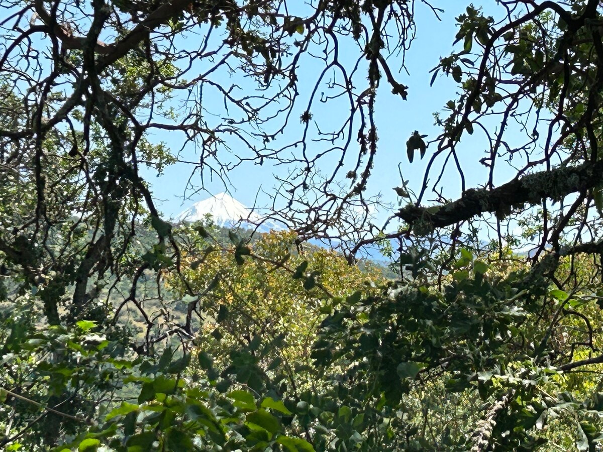 View Photo
