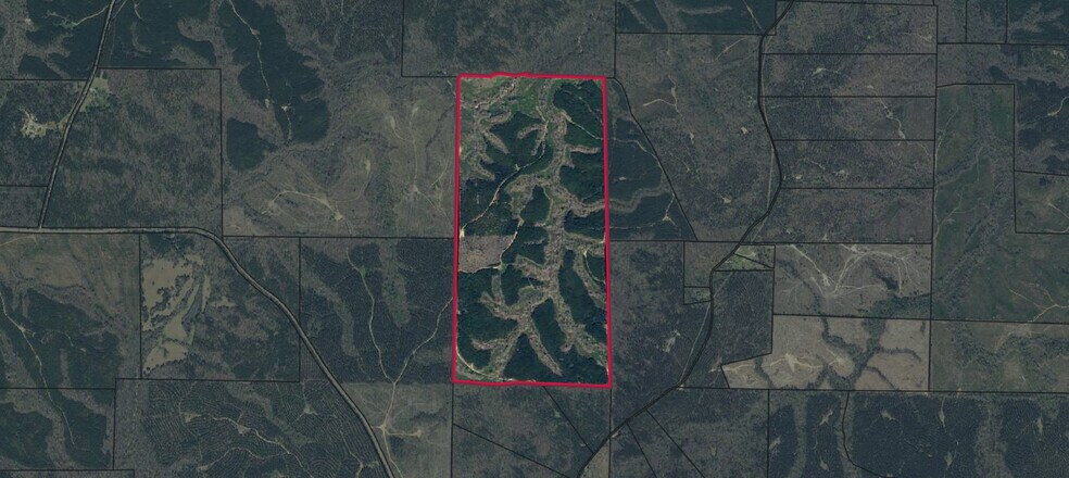 Talbot County Tract 32006A, Talbotton, GA à vendre - Aérien – Image 1 sur 2