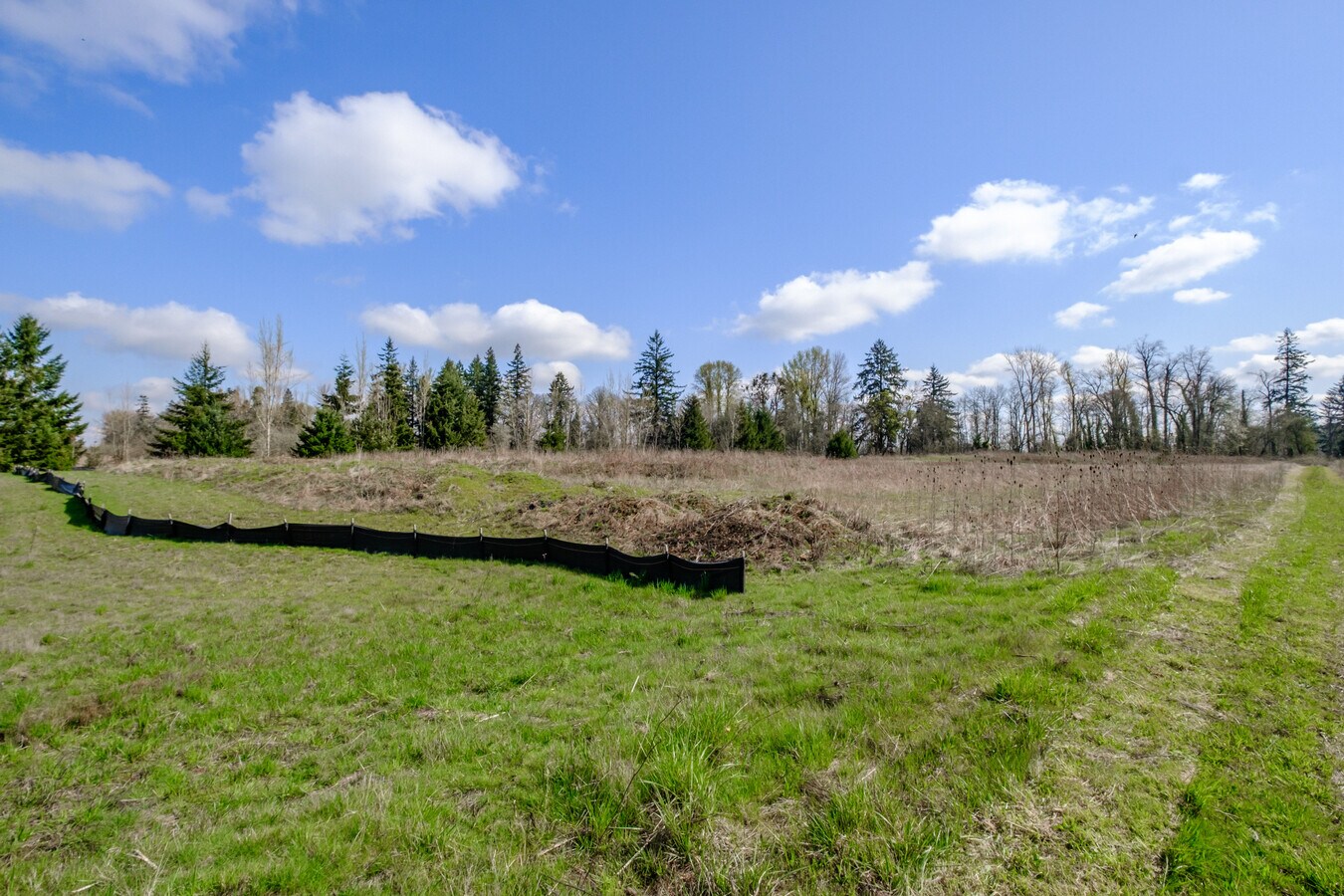 View Photo
