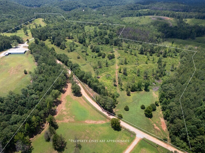 1310 County Road 269, Wedowee, AL à vendre - Photo de l’immeuble – Image 1 sur 33