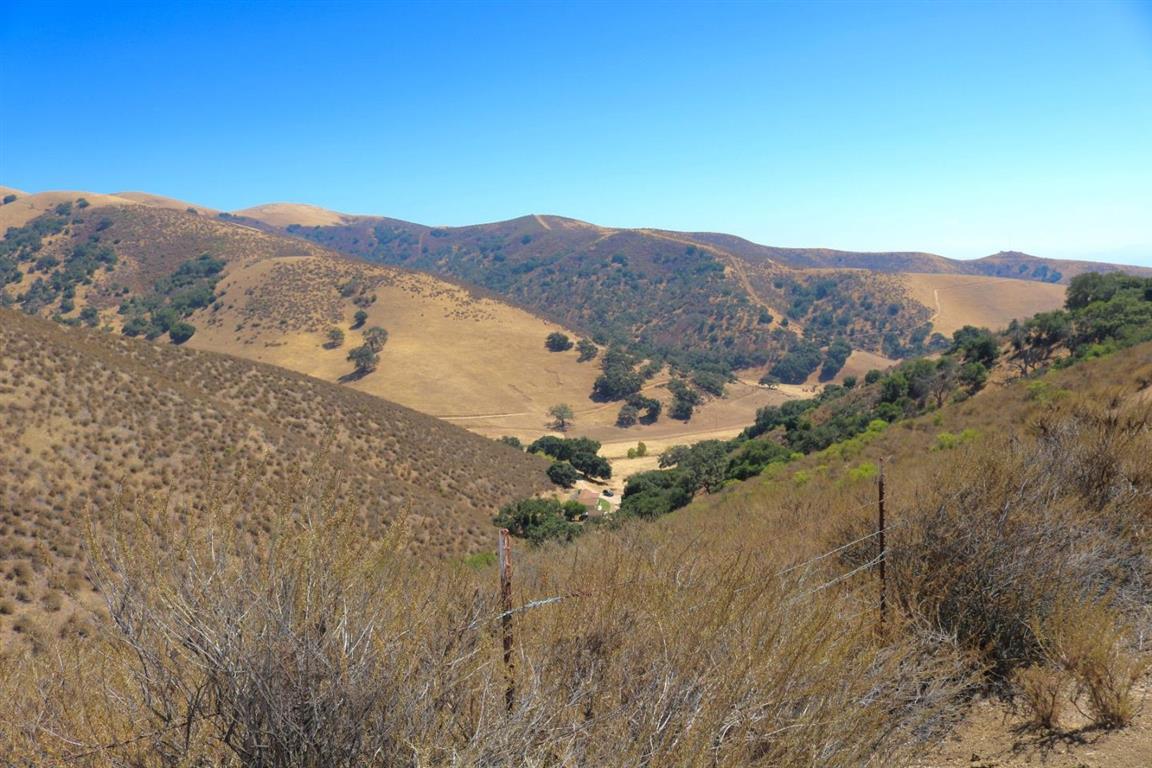 View Photo