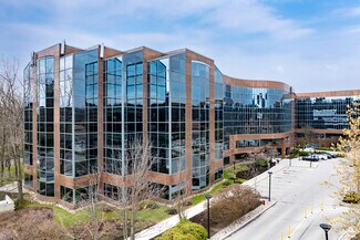 Plus de détails pour 4100 Yonge St, Toronto, ON - Bureau à louer