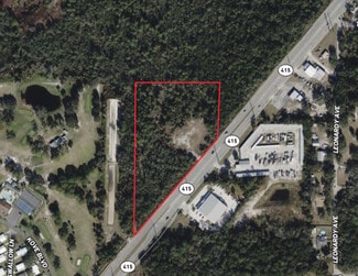 Plus de détails pour 350 State Rte 415, Osteen, FL - Terrain à vendre