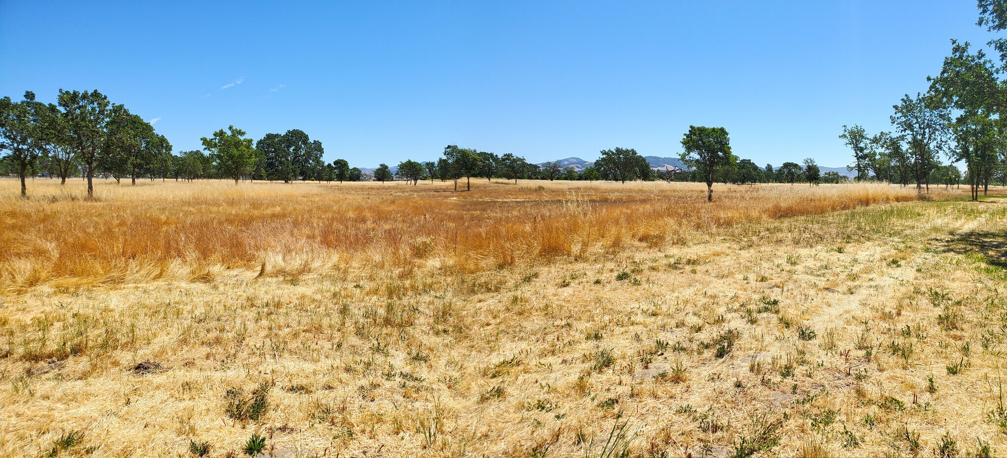 4001 Coral Sea Ave, Santa Rosa, CA à vendre Photo principale– Image 1 sur 19