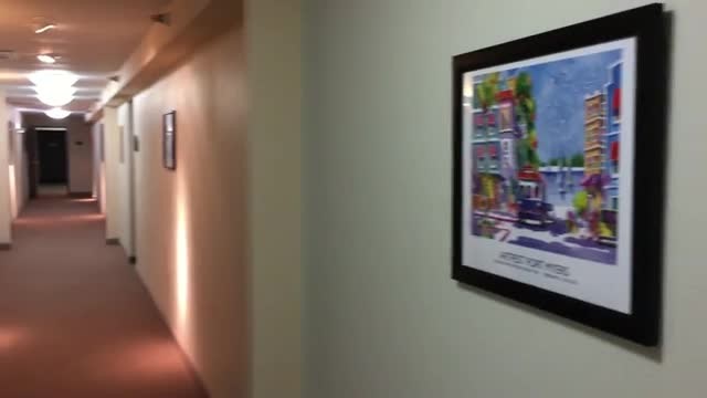 2211 Widman Way, Fort Myers, FL à louer - Vidéo sur l’annonce professionnelle – Image 2 sur 16