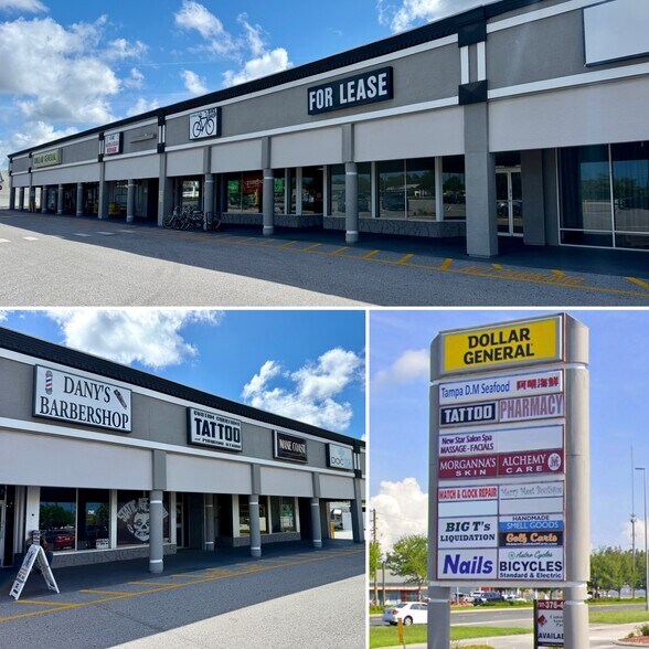 6604 US Highway 19 N, New Port Richey, FL à louer - Photo de l’immeuble – Image 2 sur 7
