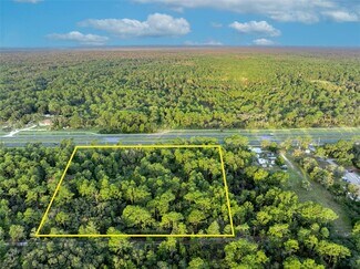Plus de détails pour 9115 S Suncoast Blvd, Homosassa, FL - Terrain à vendre
