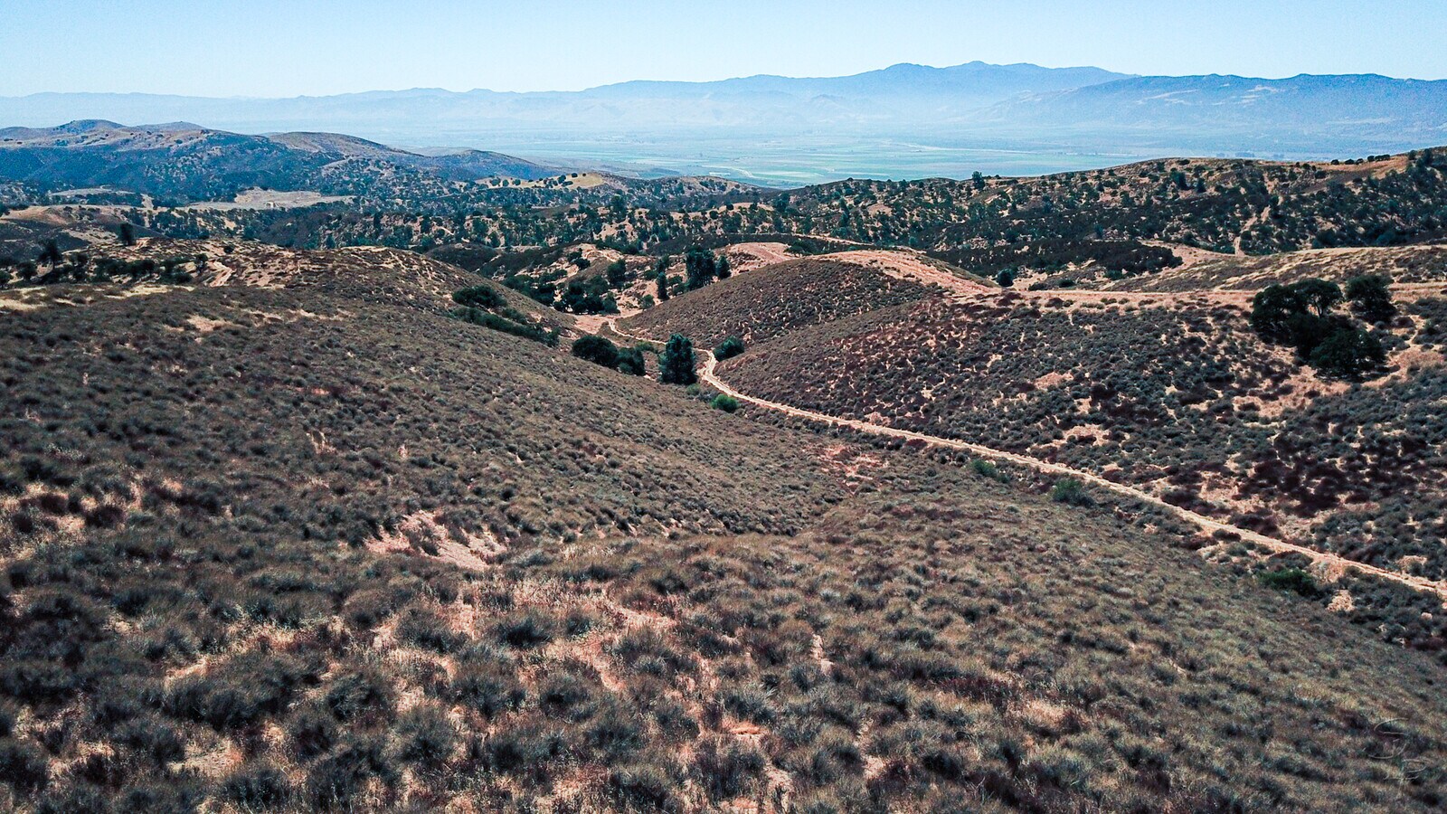 View Photo