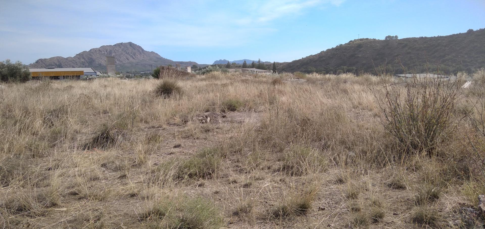 Terrain dans Calasparra, Murcia à vendre Plan de site– Image 1 sur 10