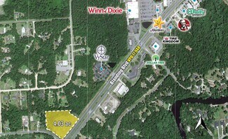 Plus de détails pour 4254 Peppergrass & CR 21 St, Middleburg, FL - Terrain à vendre