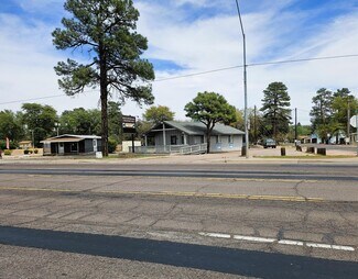 Plus de détails pour 511 S Beeline Hwy, Payson, AZ - Local commercial à vendre