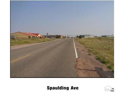 203 S Burlington Dr, Pueblo West, CO à vendre - Photo de l’immeuble – Image 2 sur 3