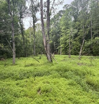 Plus de détails pour 1087 Bobby Faucette Rd, Jonesville, SC - Terrain à vendre