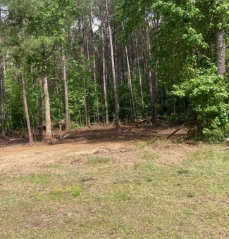 Plus de détails pour 421 HWY & 210 Hwy, Currie, NC - Terrain à vendre