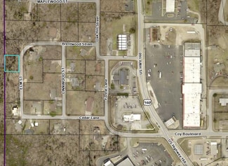 Plus de détails pour Elm Street, Forsyth, MO - Terrain à vendre