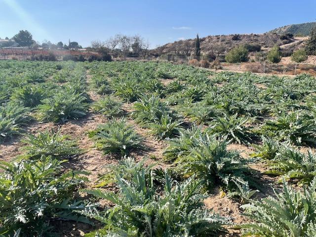 Polígono, Totana, Murcia à vendre - Photo de l’immeuble – Image 3 sur 5