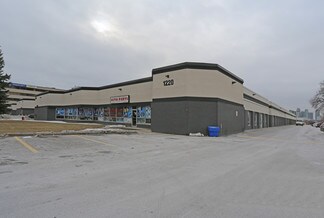 Plus de détails pour 1220 Markham Rd, Toronto, ON - Industriel/Logistique à louer